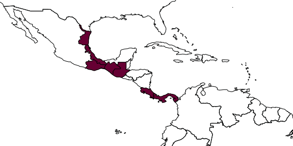map of Chilicola polita     Michener, 1994